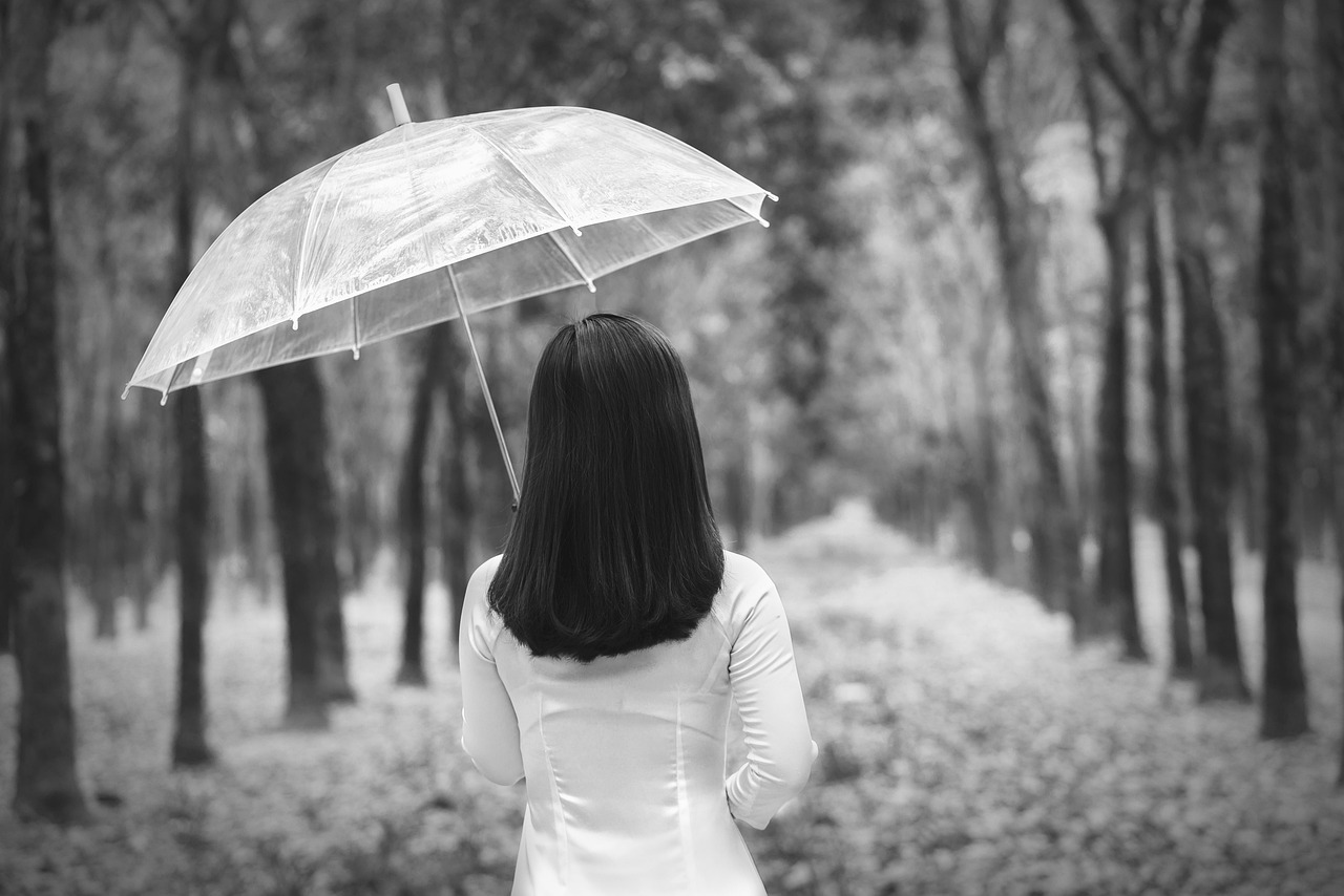 Bản Quyền Sản Phẩm Số Và Quy Định Pháp Lý Hiện Hành feature 1498